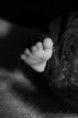 /album/fotogalerie/a2011-11-fam-bronkal-030-1-jpg/